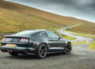 FORD Mustang Fastback GT 5.0L RWD (Auto)