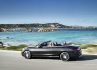 MERCEDES BENZ C-Class Cabrio C 220 d Auto