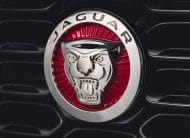 JAGUAR F-Type 2.0lP I4 300PS RWD Auto R-Dynamic Convertible