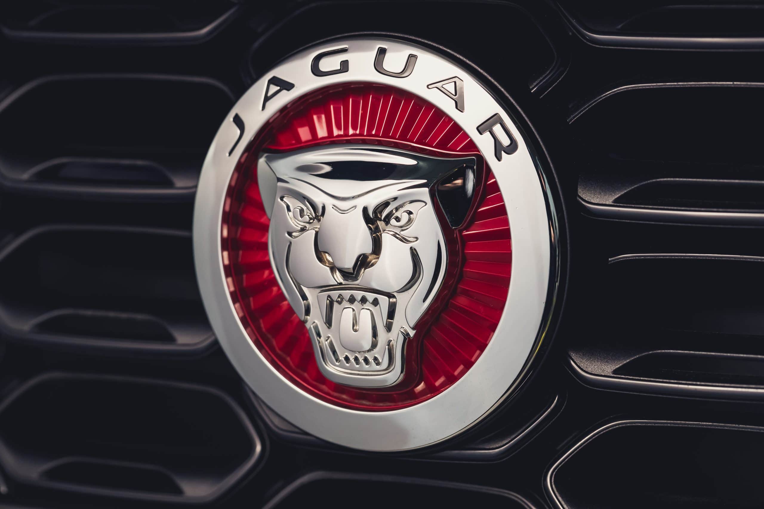 JAGUAR F-Type 2.0lP I4 300PS RWD Auto R-Dynamic Convertible