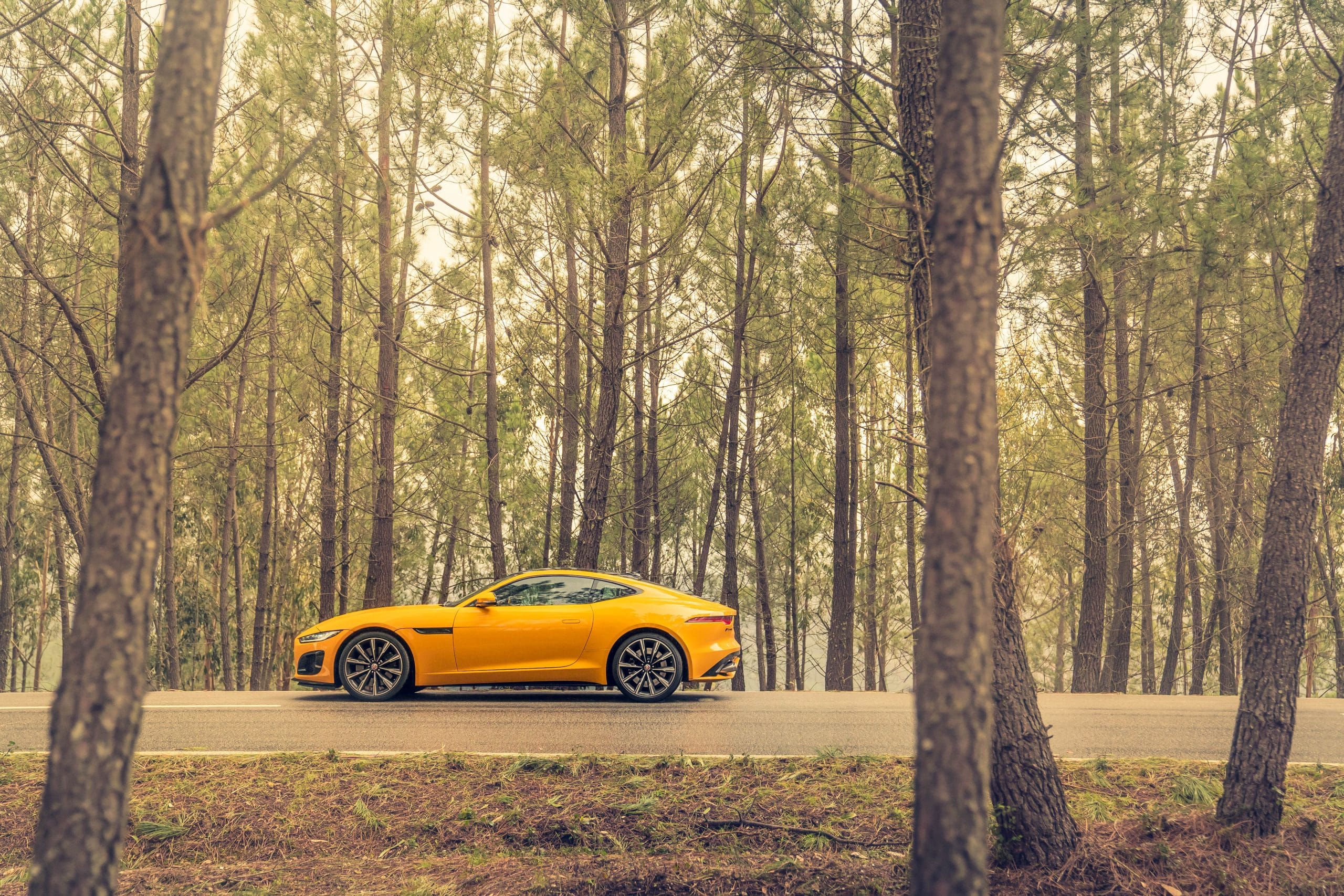JAGUAR F-Type 3.0lt V6 S/C 340PS RWD Auto R-Dynamic