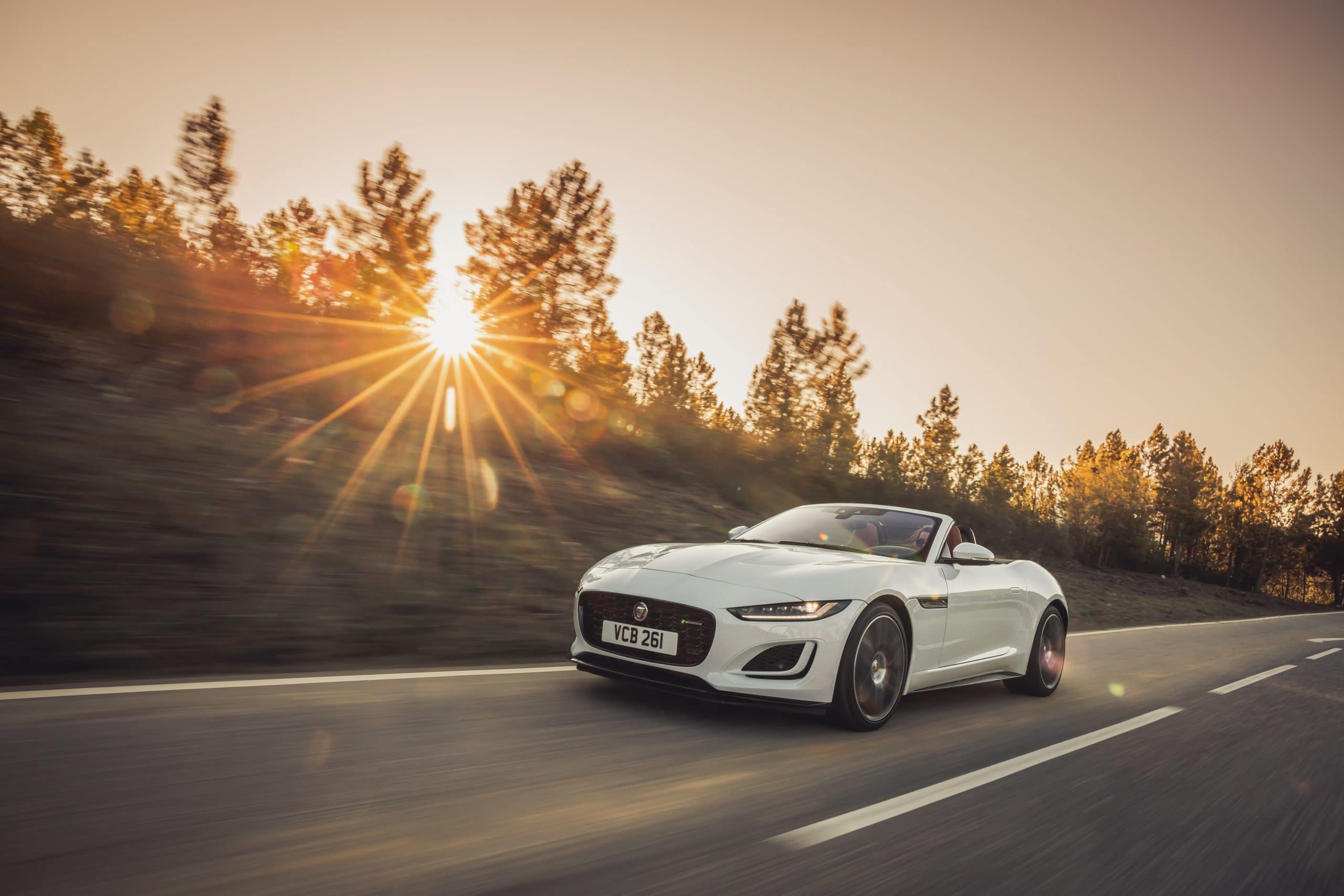 JAGUAR F-Type 2.0lP I4 300PS RWD Auto R-Dynamic Convertible