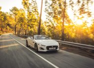 JAGUAR F-Type 2.0lP I4 300PS RWD Auto R-Dynamic Convertible