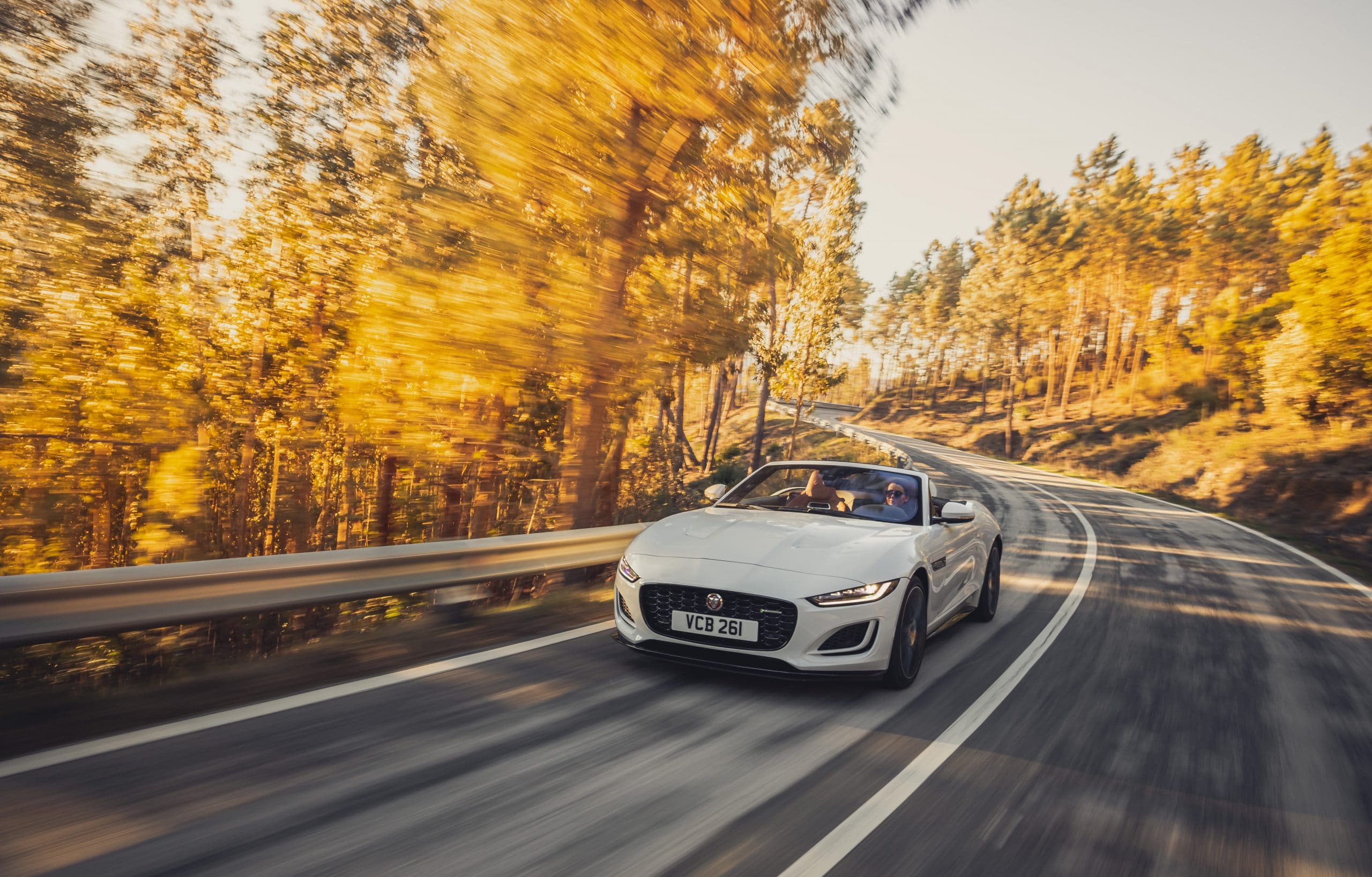 JAGUAR F-Type 2.0lP I4 300PS RWD Auto R-Dynamic Convertible