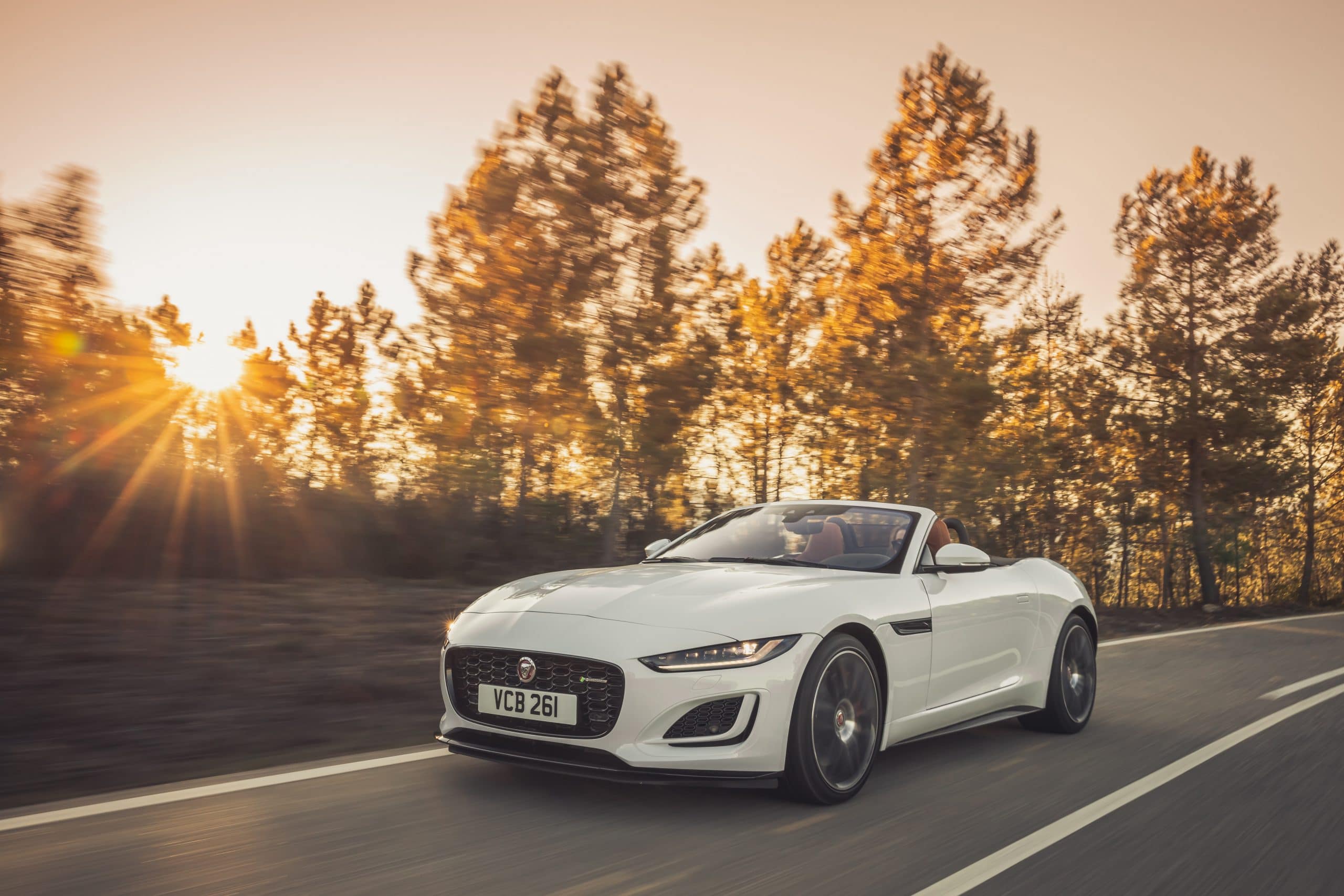JAGUAR F-Type 2.0lP I4 300PS RWD Auto R-Dynamic Convertible