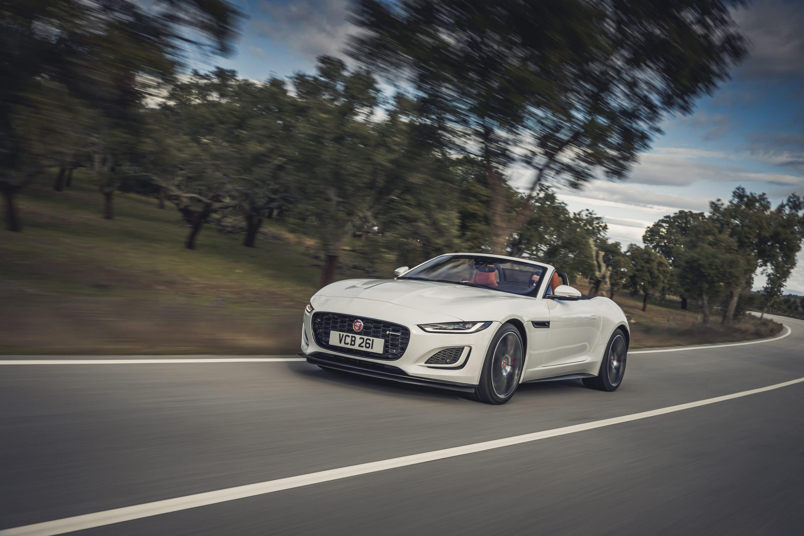 JAGUAR F-Type 2.0lP I4 300PS RWD Auto R-Dynamic Convertible