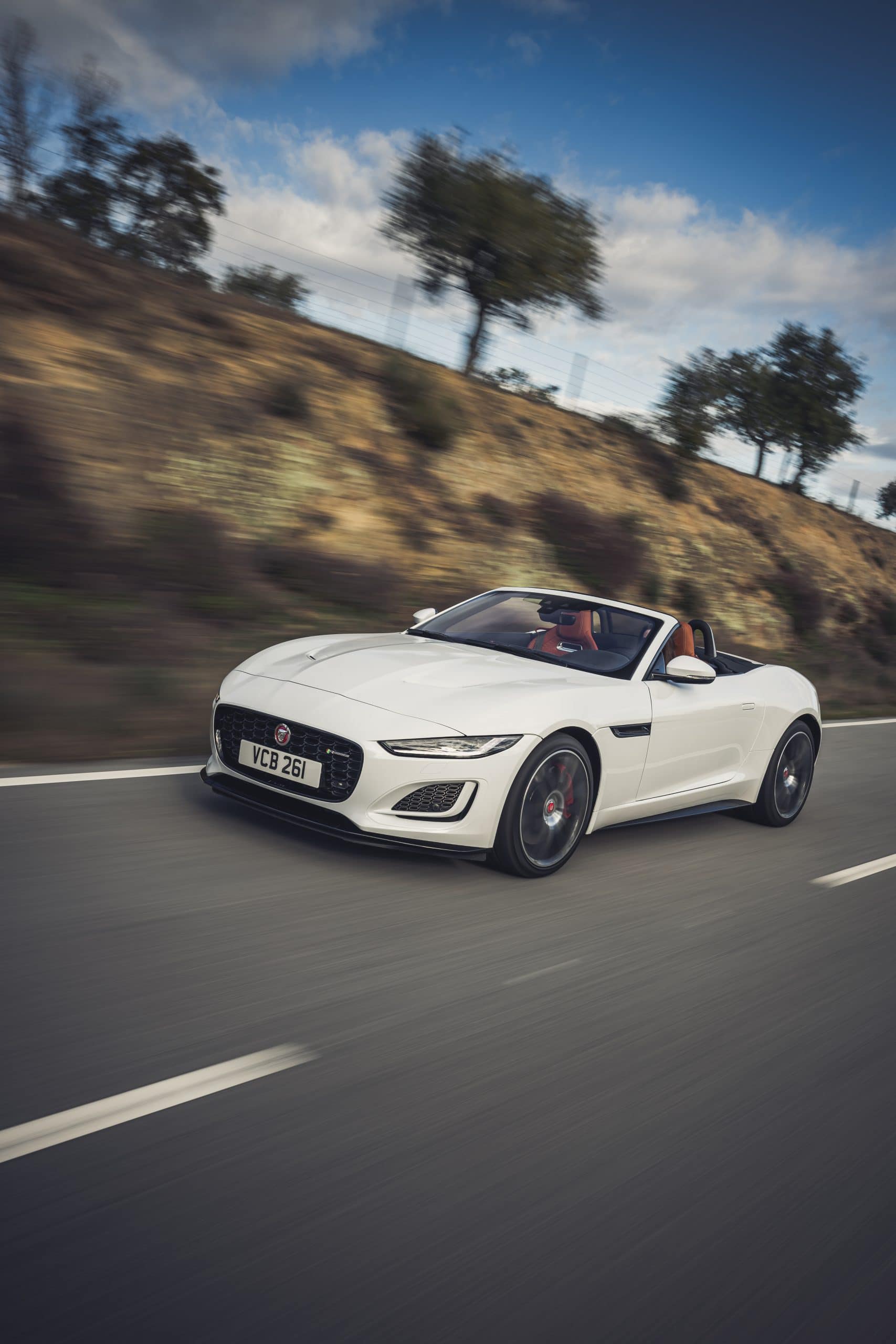 JAGUAR F-Type 2.0lP I4 300PS RWD Auto R-Dynamic Convertible