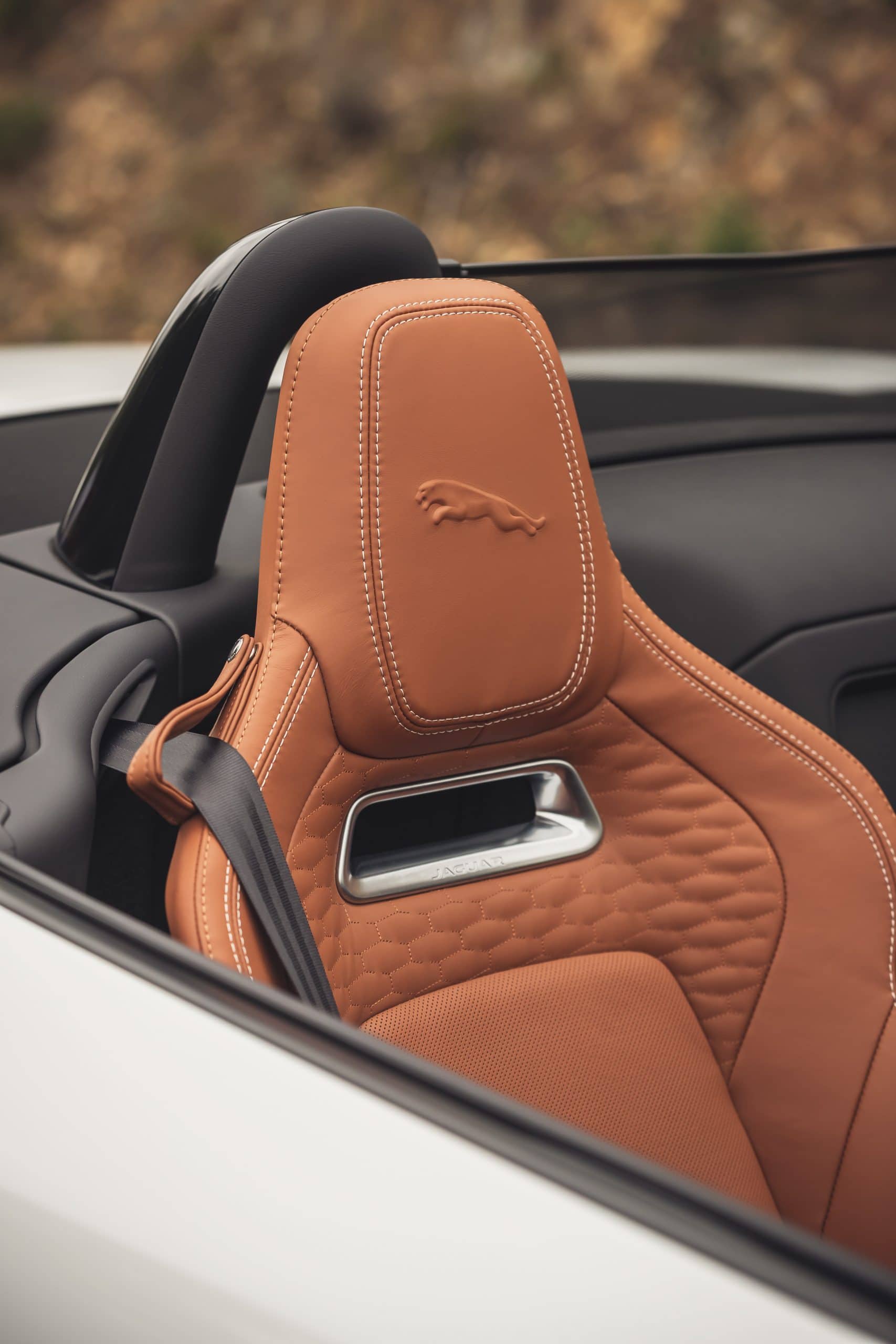 JAGUAR F-Type 2.0lP I4 300PS RWD Auto R-Dynamic Convertible