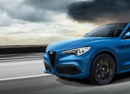 ALFA ROMEO Stelvio 2.2 160hp AT 4X2