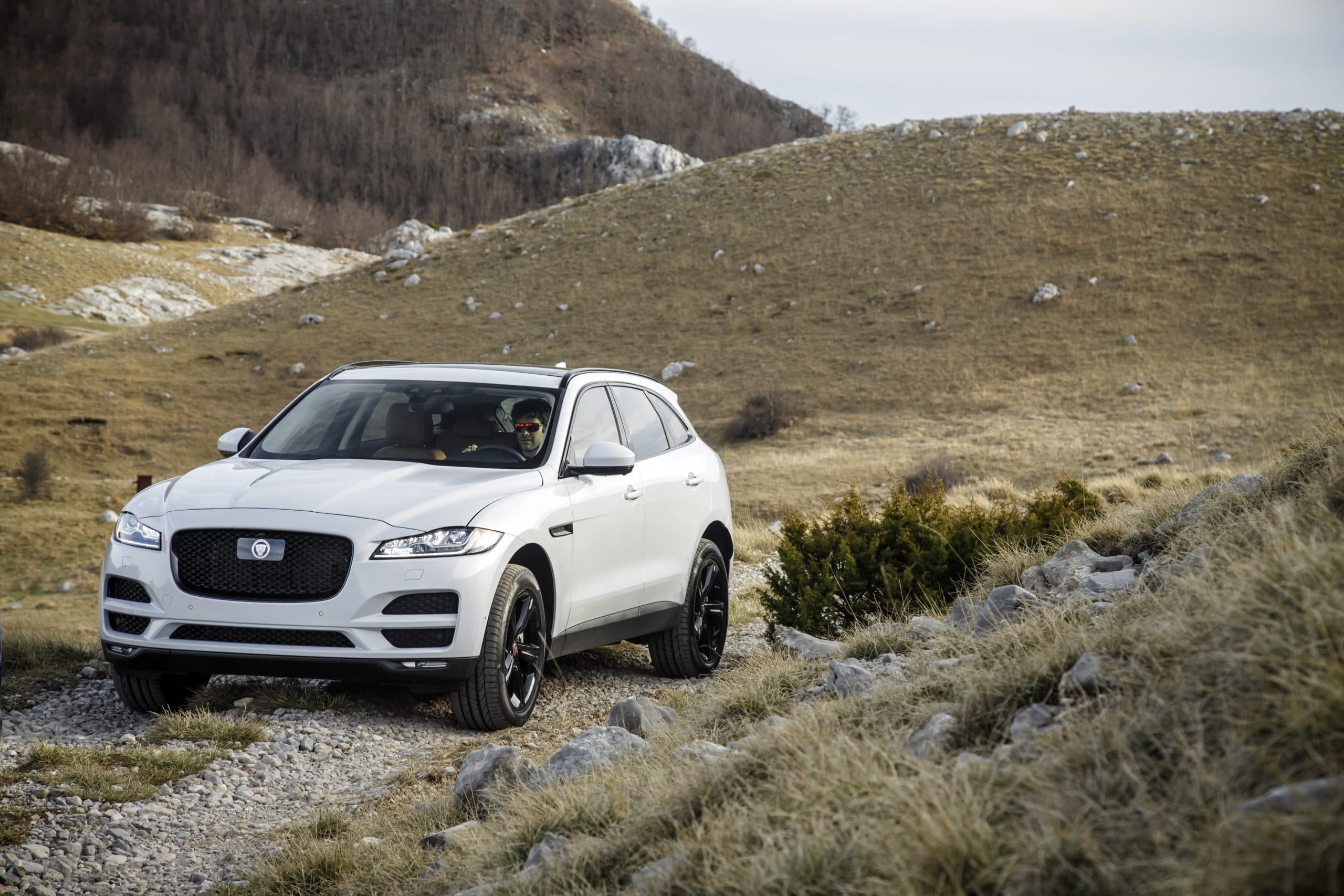 JAGUAR F-Pace 2.0L I4 T/C AWD Auto Portfolio 300PS