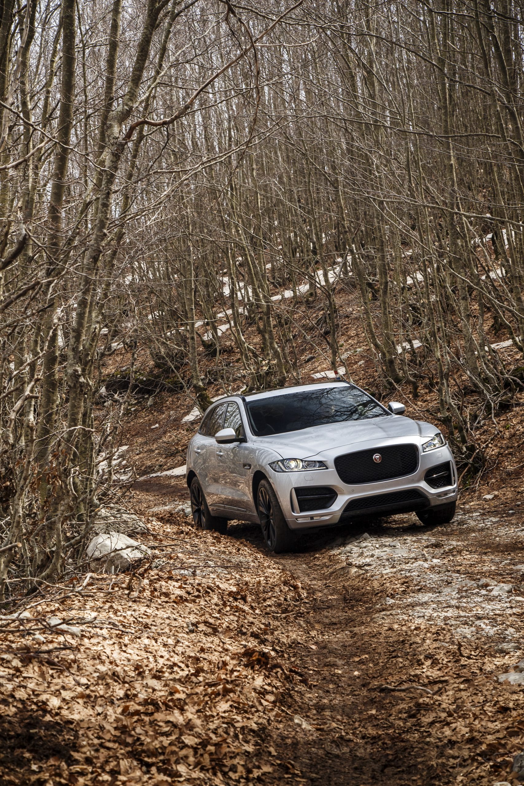 JAGUAR F-Pace 2.0L I4 T/C AWD Auto Portfolio 300PS